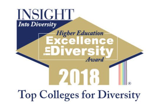 Higher Education Excellence in Diversity Logo