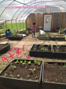 A garden with people planting in the distance.