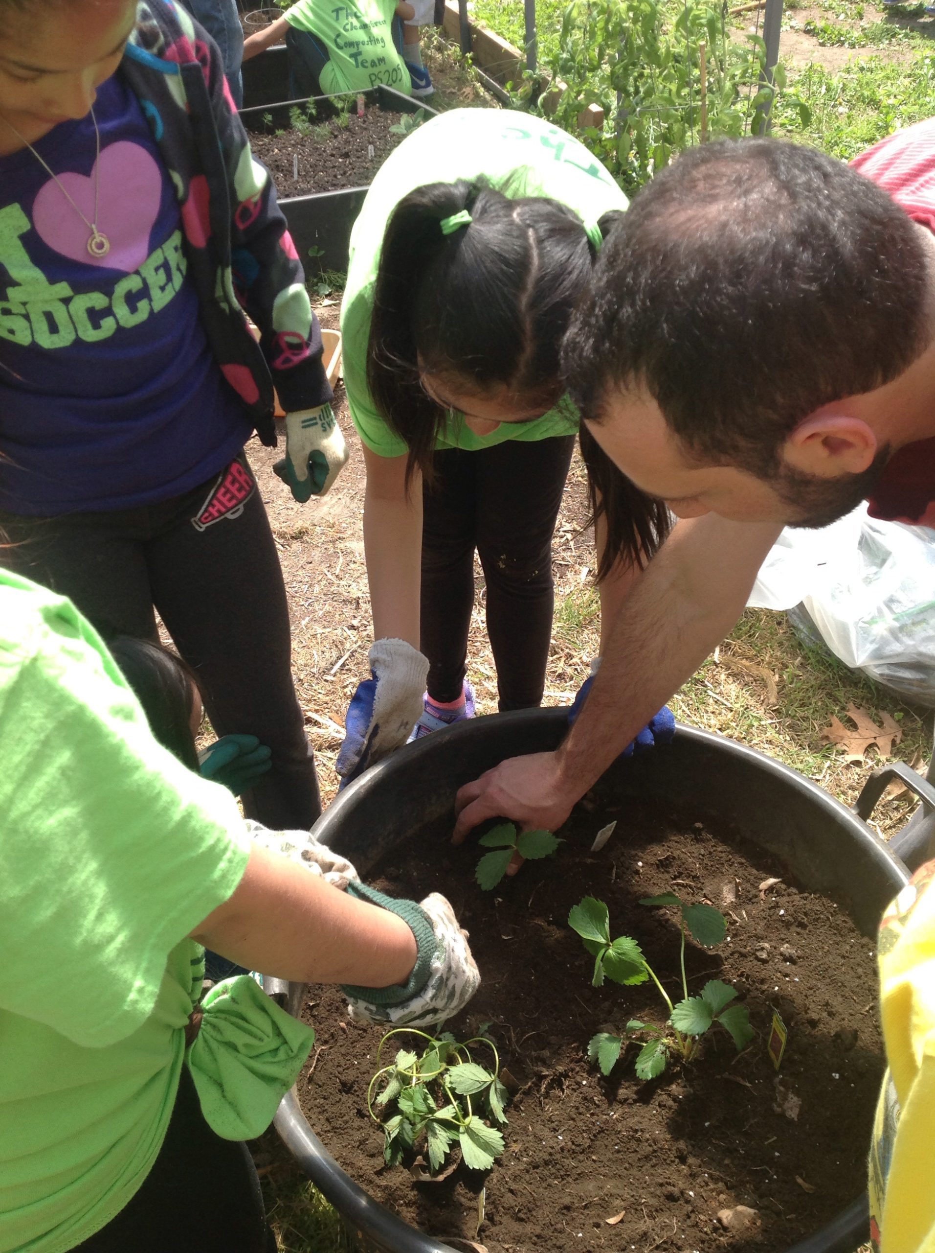 A close-up of people planting a garden.