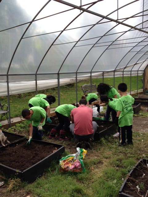 A group of people planting a garden.