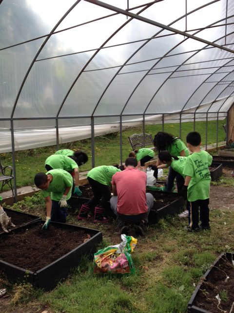 Group of people planting in a greenhouse.