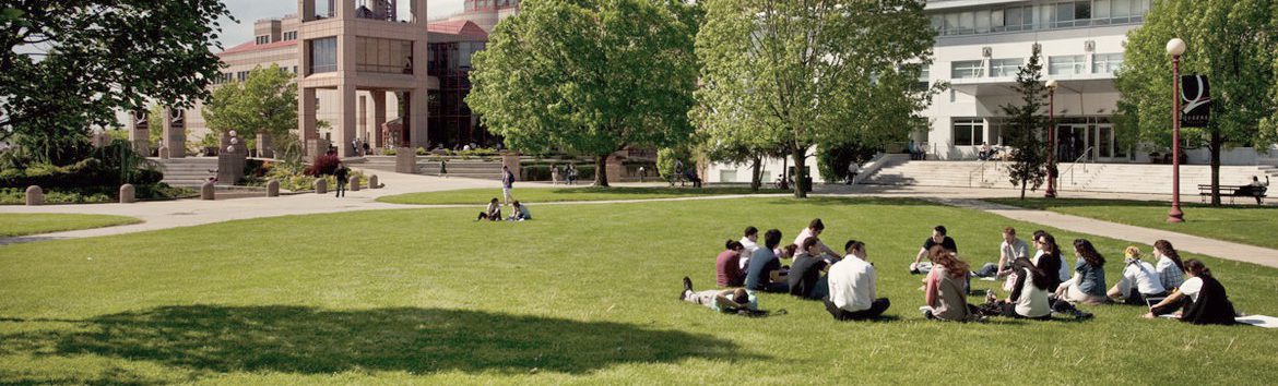 People at Queens College Campus sitting on the grass.