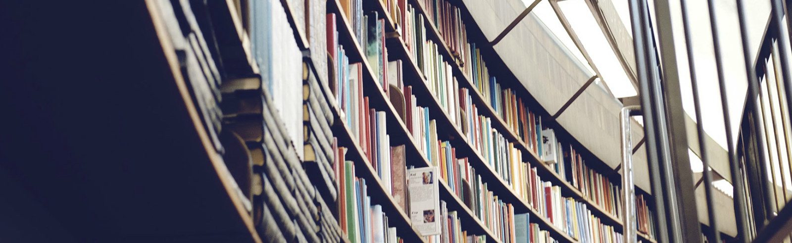 Bookshelves full of books.