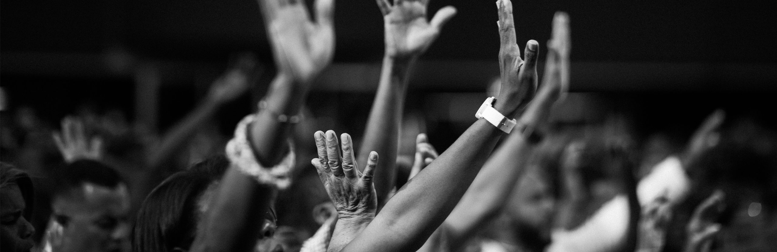 An image of people’s hands raised. 