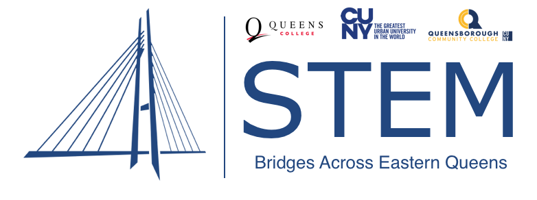 STEM Bridges Across Eastern Queens.