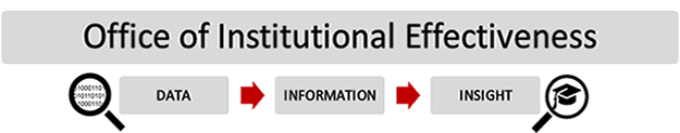 OIE Banner. Data-Information-Insight OIE Banner. Data-Information-Insight