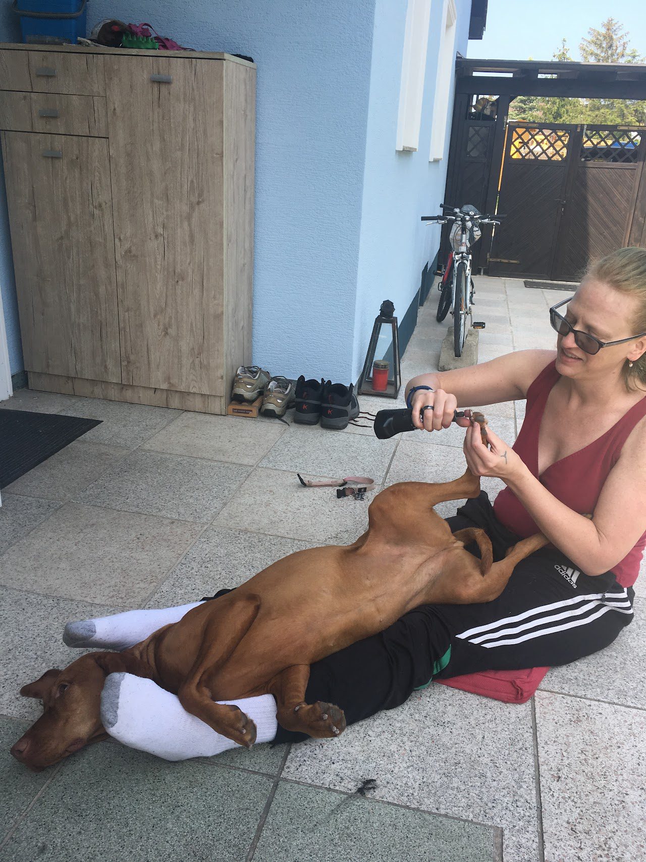Kate Winter sitting on the floor and clipping a dogs nails.
