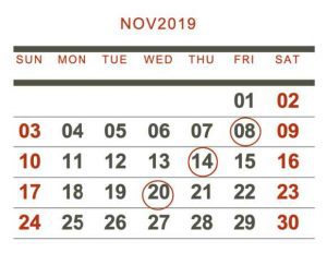 An image of a calendar for November 2019. The following dates are circled “08, 14, 20”.