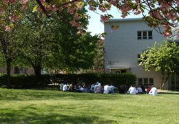 Rathaus Lawn-An open lawn space with green grass.