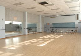 Open plan view of Dance Room 313.