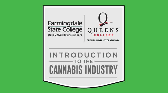 Cannabis Industry Workshop logo on a green background