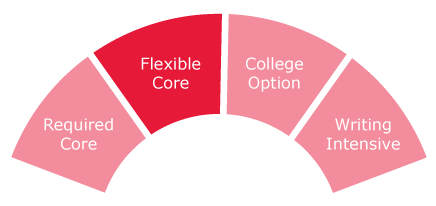 Graph Writing # 110 - Process in completing work experience for university  students