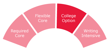 Degree Requirements