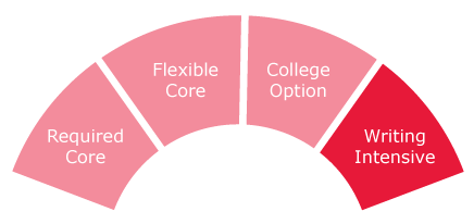 Writing Intensive Requrement