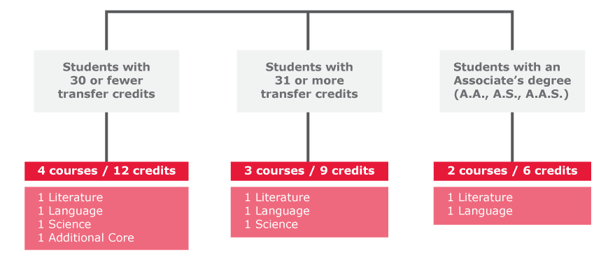 cuny college essay requirements