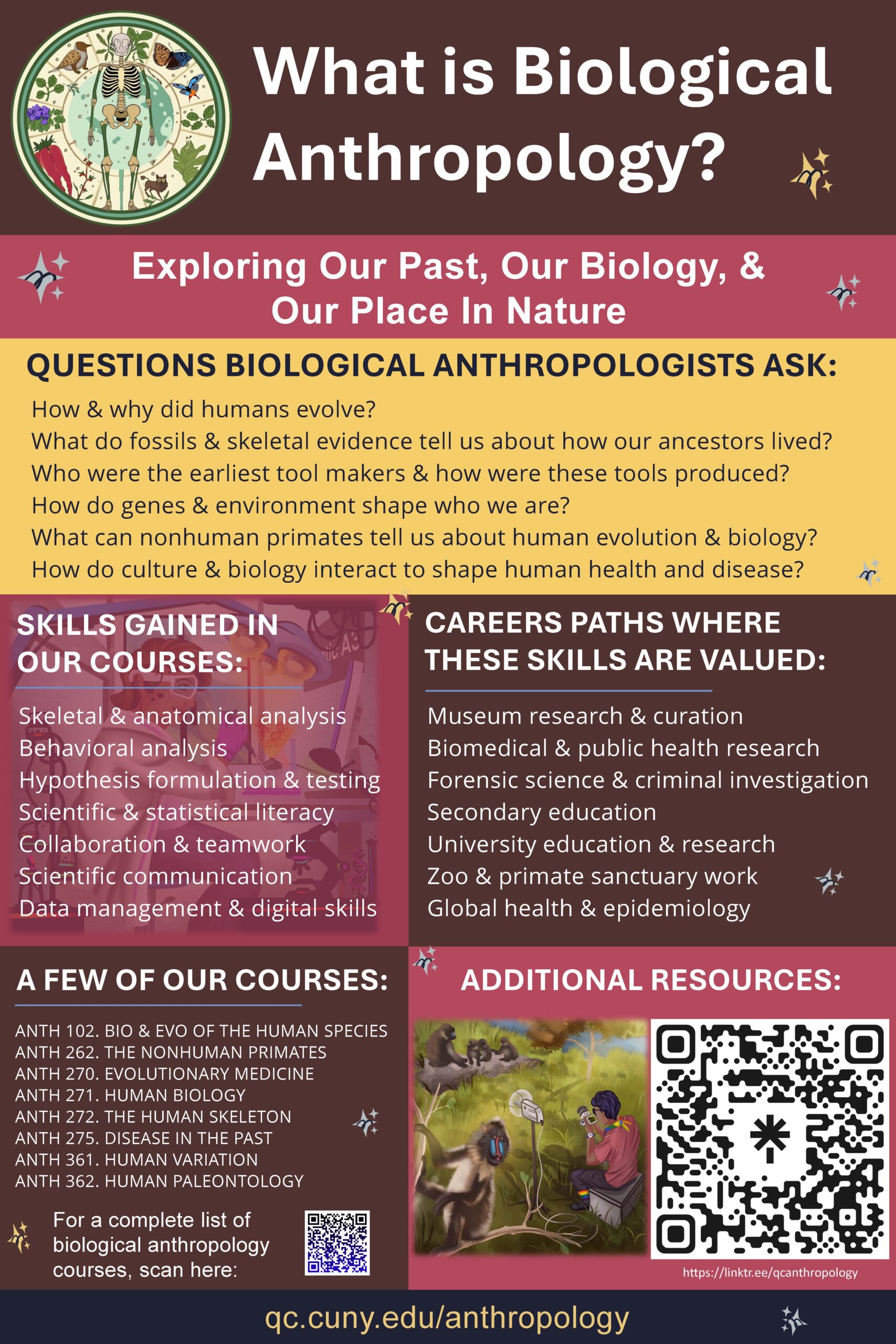 Biological Anthropology