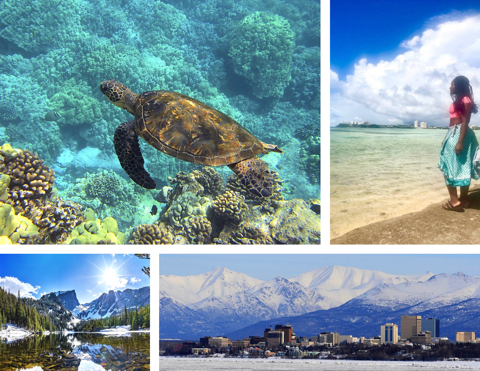 A collage of four images: A turtle swimming in Hawaii, A Queens College NSE Student in Guam, A scenic photo of a river, trees, and mountains in Colorado, and a landscape photo of buildings with snow covered mountains in the background in Alaska.