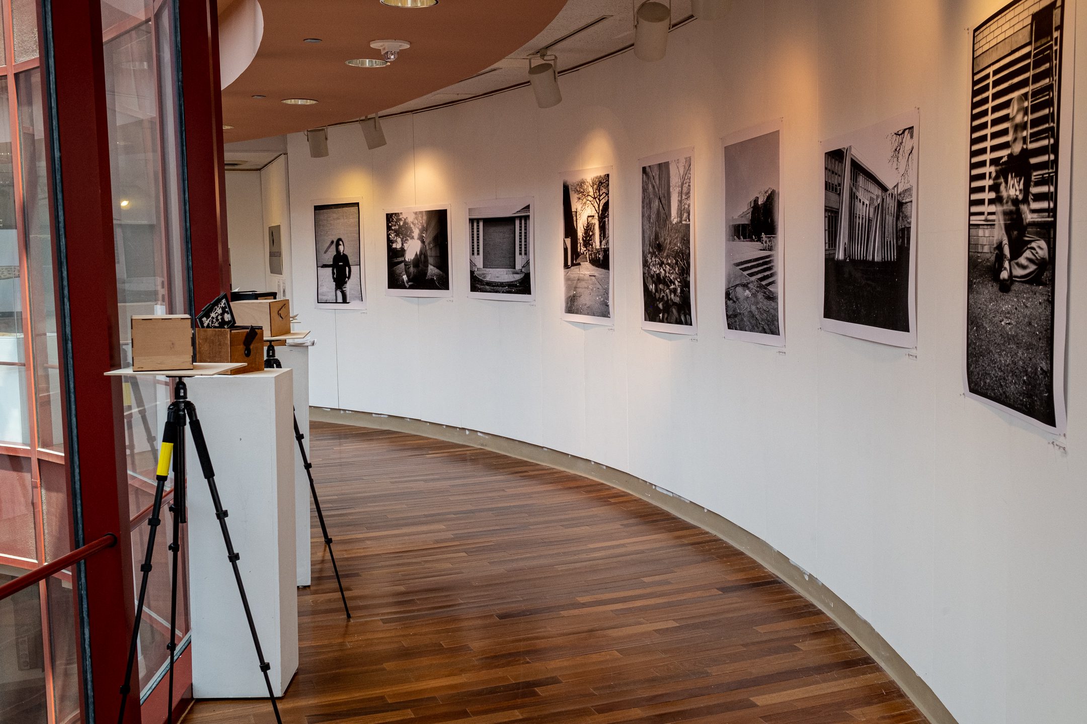 Photography Showcase