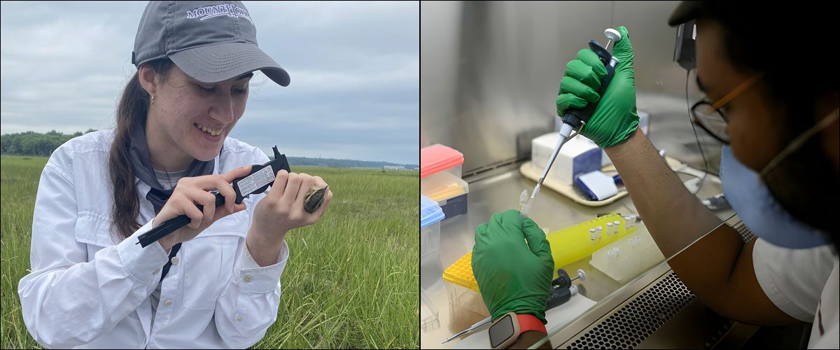 One master's student is working with a sparrow in a marsh. Another is working with DNA samples.