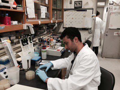 A person working inside a lab.