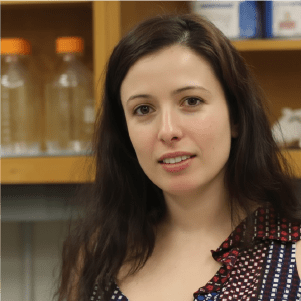 Maral Tajerian