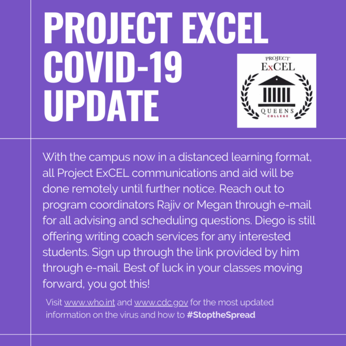 Project excel covid-19 update