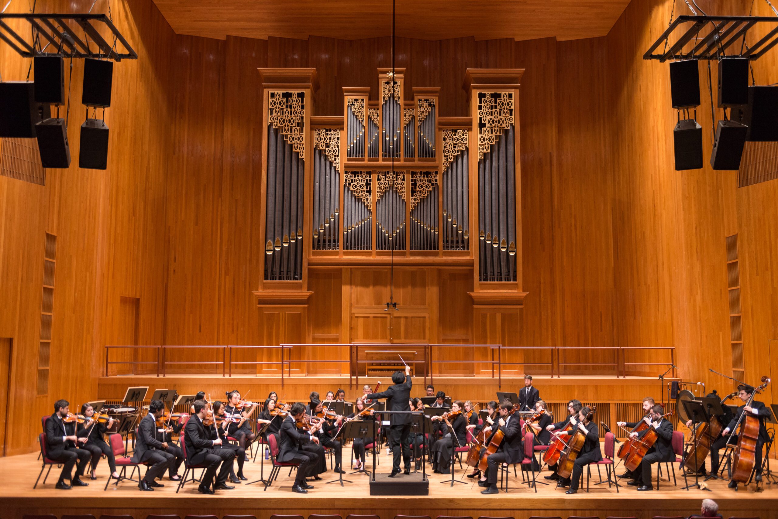 Live Orchestra Concert