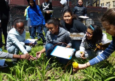 Observing plant diversity and Collecting Soil Samples to Assess Soil Fertility for a science Project to be presented at the ITW Symposium​