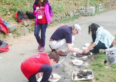 Assessing pond macro-invertebrates at Alley Pond Park, South Pond