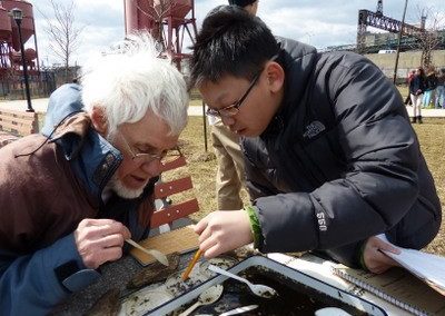 Assessing stream macro-invertebrates from the Bronx River