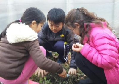 Students observing soils below the plant layer.