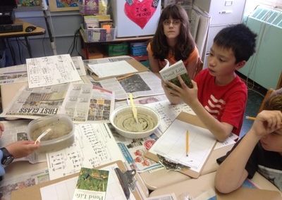 Back in the classroom, identifying pond macro-invertebrates