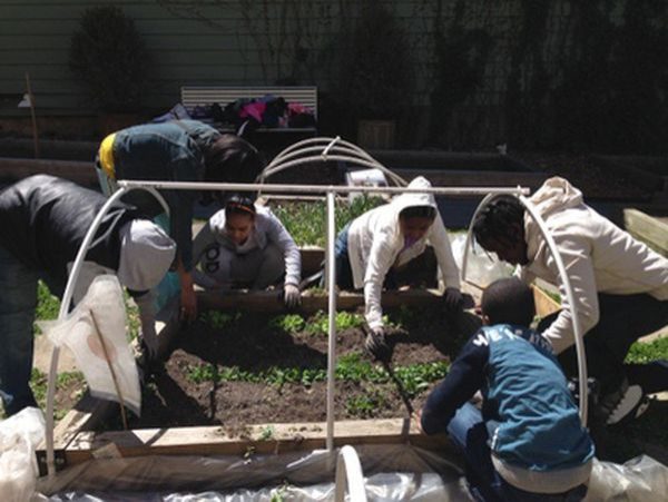 Students planting a garden.