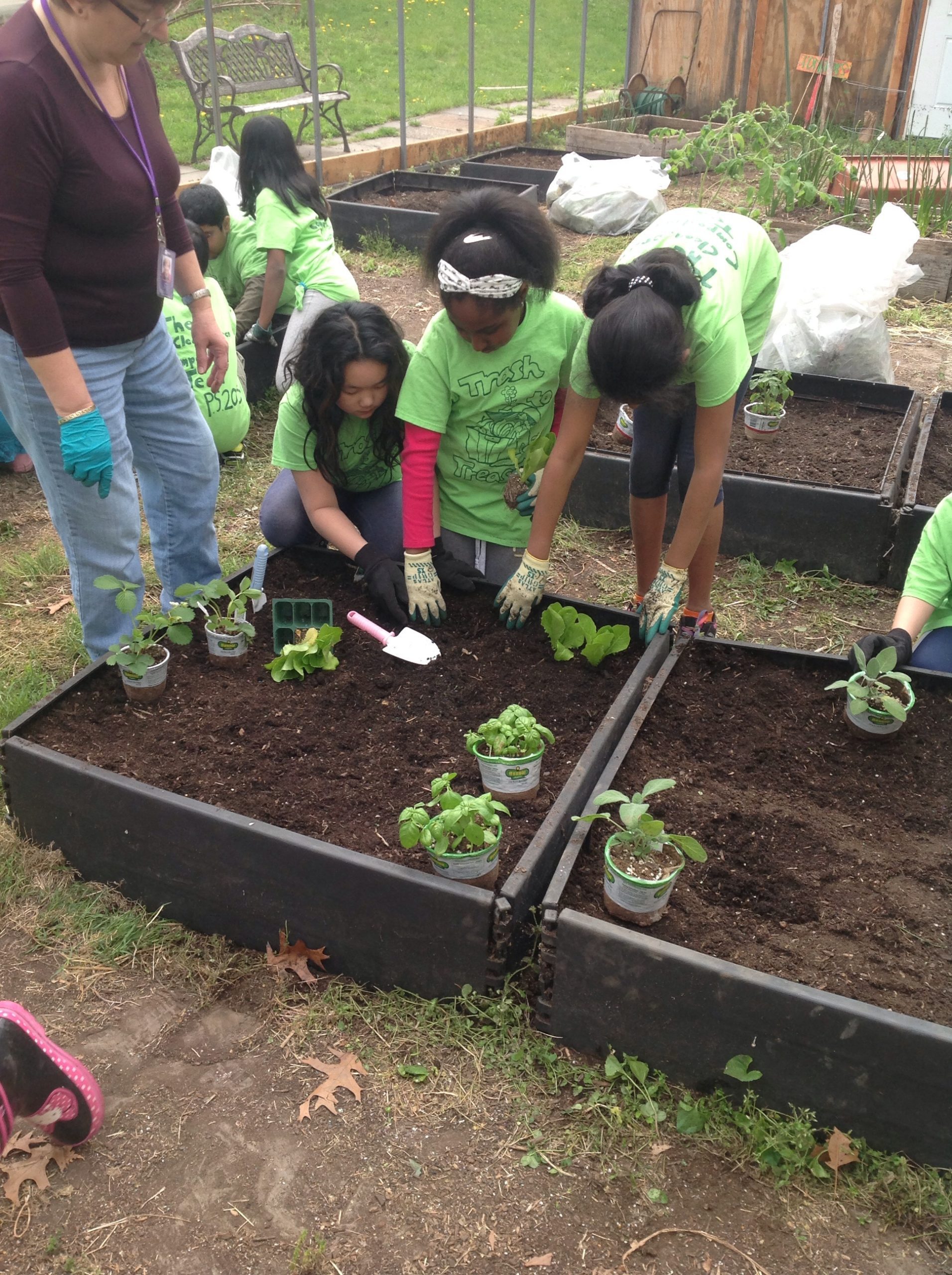 Three students planting a garden.