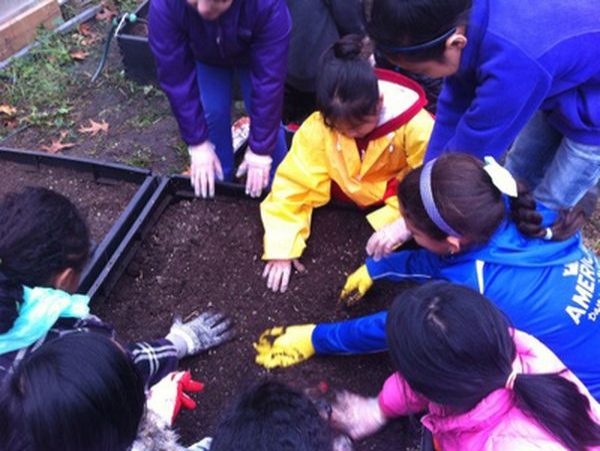 Group of students touching soil.