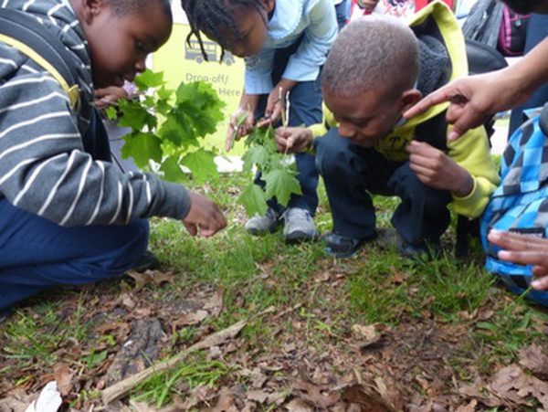 Students looking at the ground covered in soil, leaves, and grass.