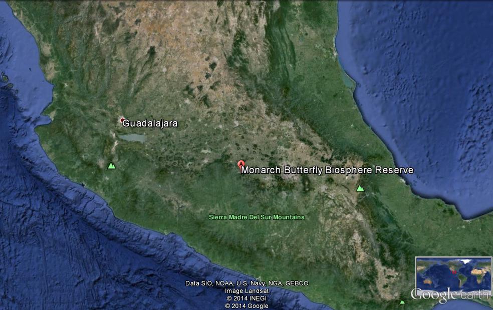 Monarch Biosphere Reserve Monarch Biosphere Reserve Google Earth Screenshot