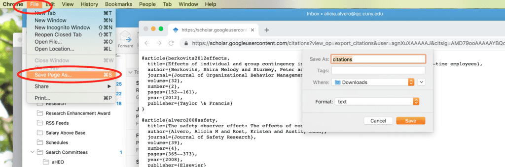 BibTex format Screenshot of BibTex format. The links File and Save Page As are highlighted and circled.