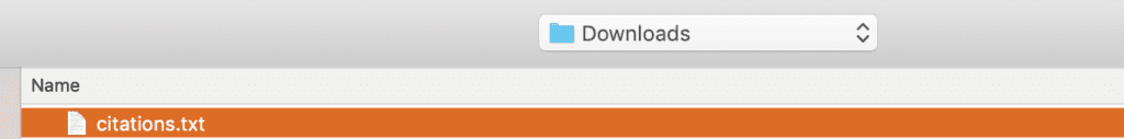 Selected File Screenshot indicating the selected file.