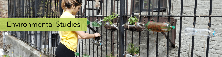 Environmental Studies Banner. A person using plastic bottles as planters on a gate.
