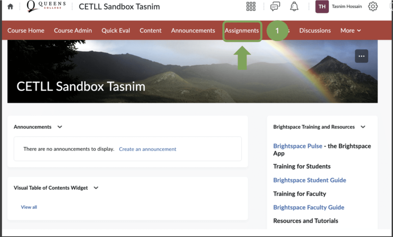 Brightspace homepage with arrow pointing to Assignments tab
