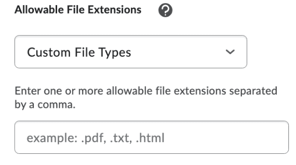 Allowable Extensions Types second field