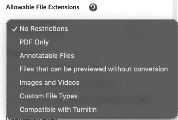Allowable File Extensions Field