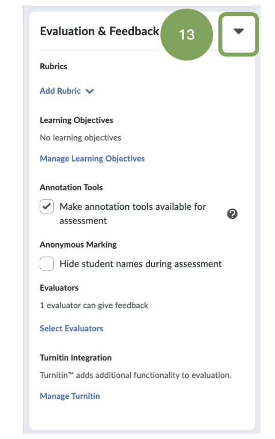 Evaluation & Feedback tab