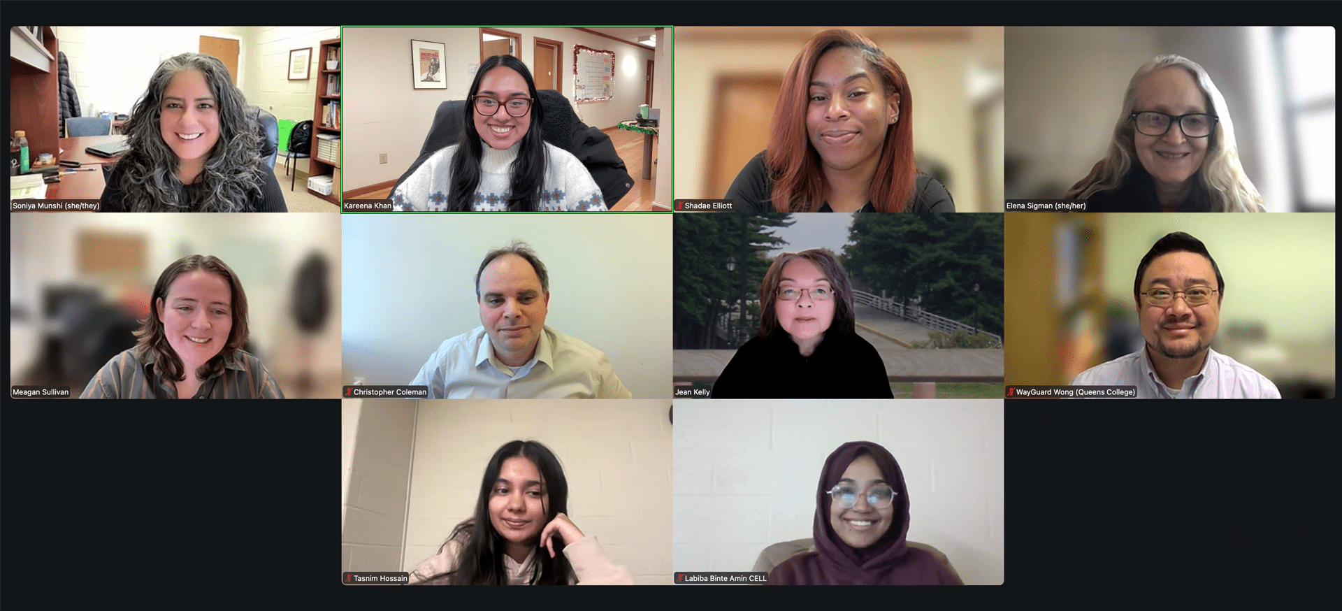 The CETLL team on Zoom.