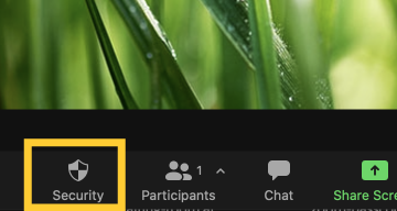 Security button on meeting control panel