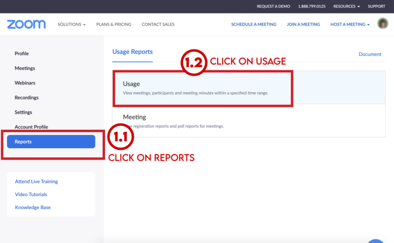 Report button and usage field in Zoom dashboard