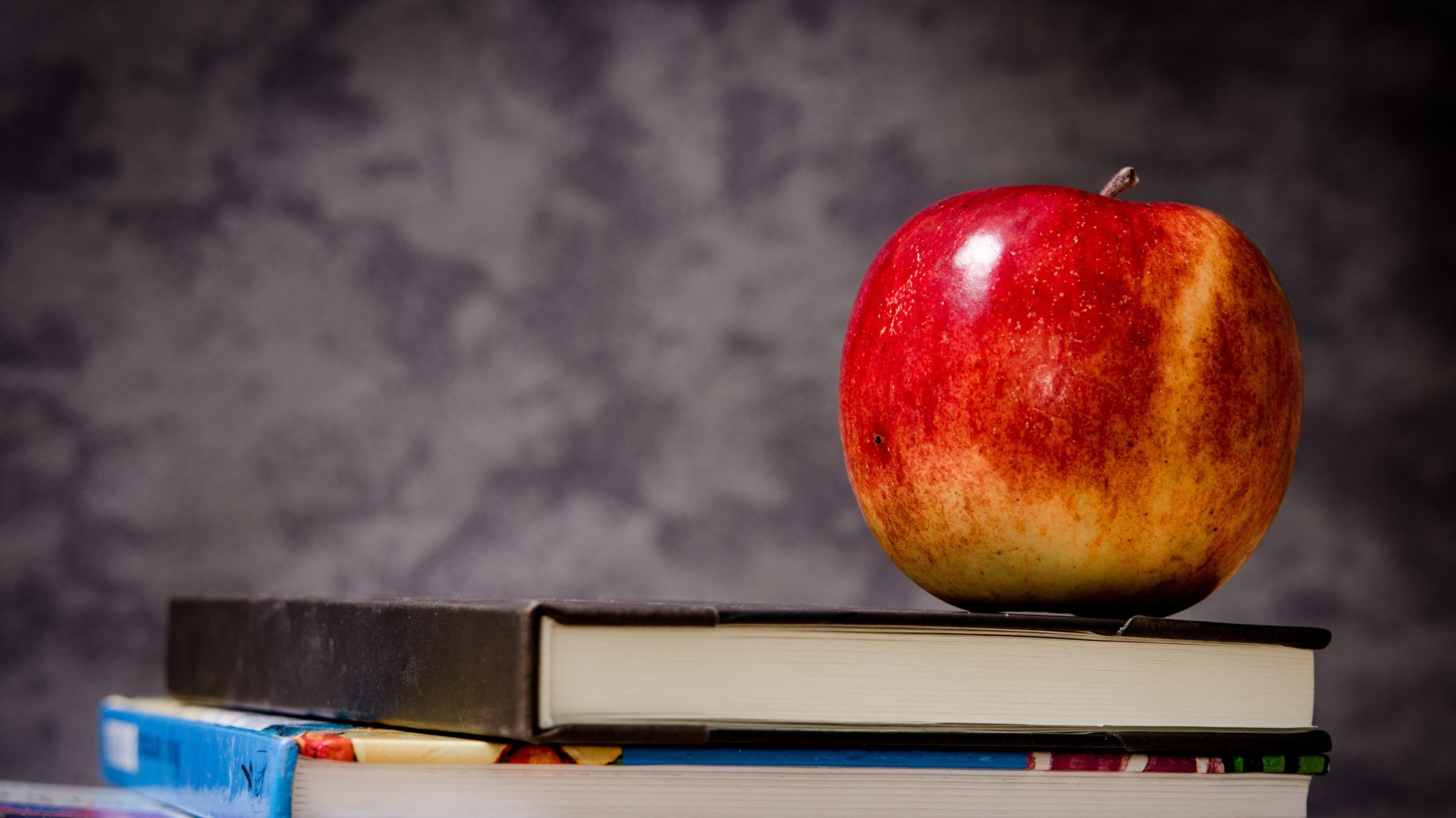 curved bookshelves in library