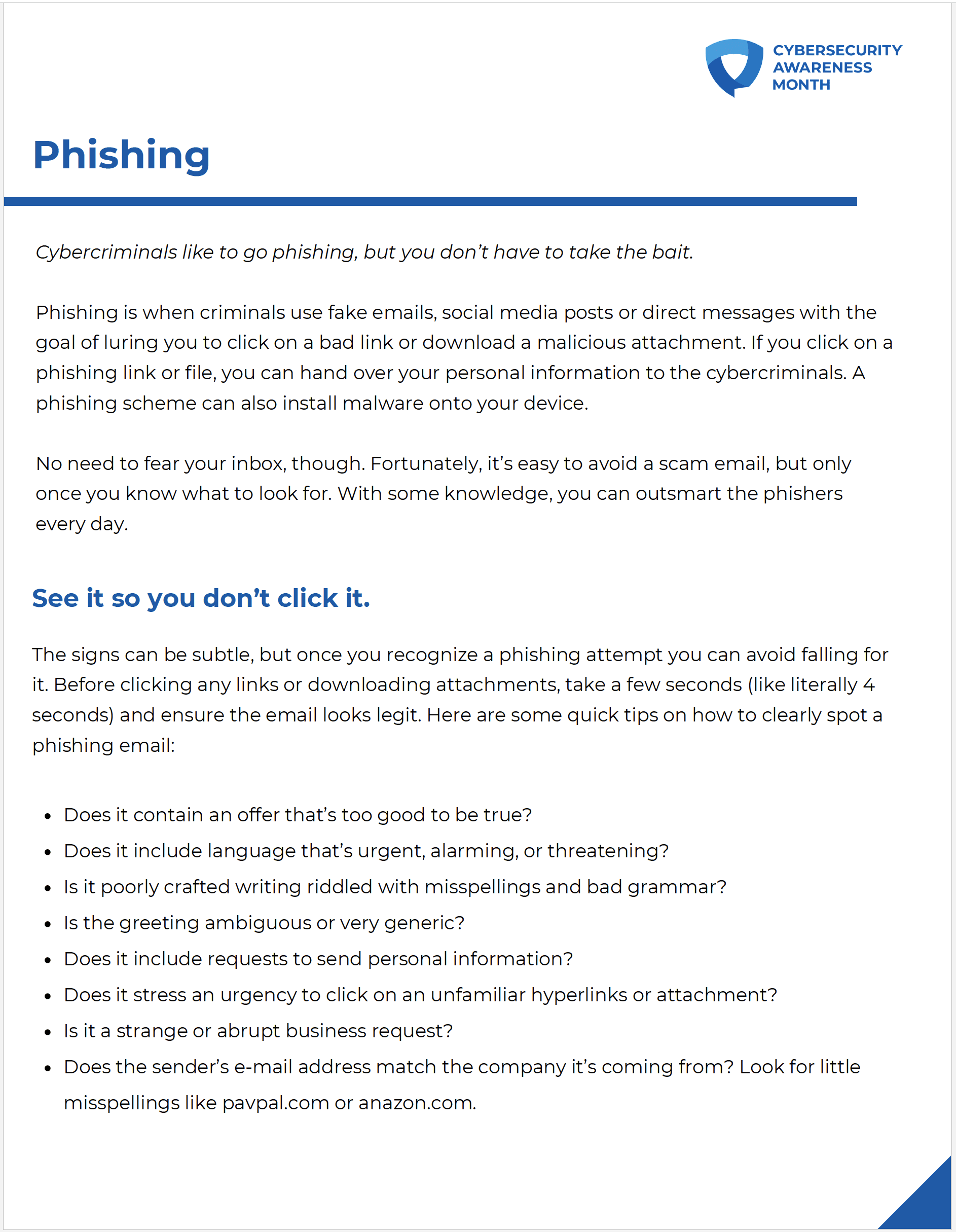 Thumbnail of the Phishing Information