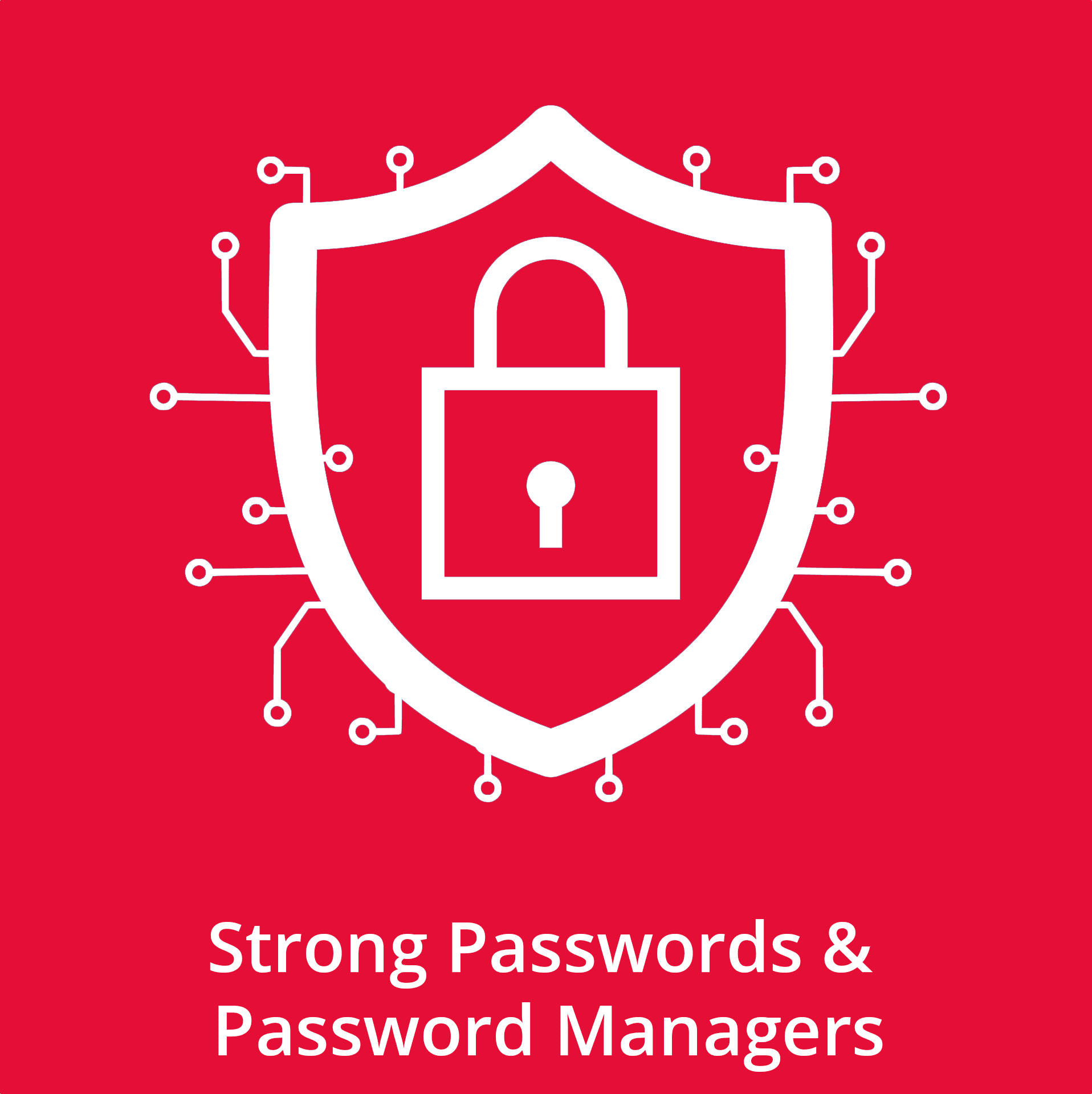 Strong Password Mangers Icon